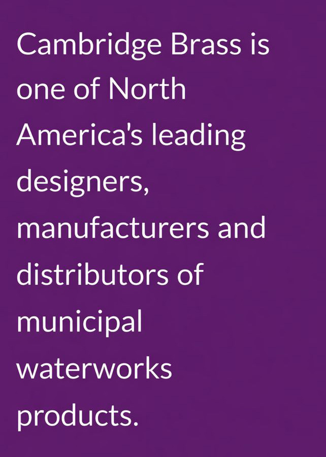 CB Company Description
